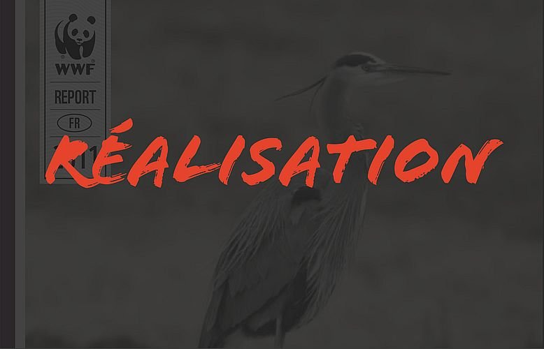 réalisation WWF Openscop