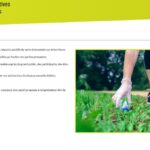 Plateforme éco-manifestation visuel